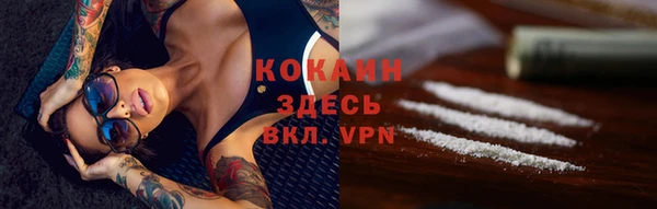 шишки Верея
