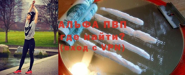 шишки Верея