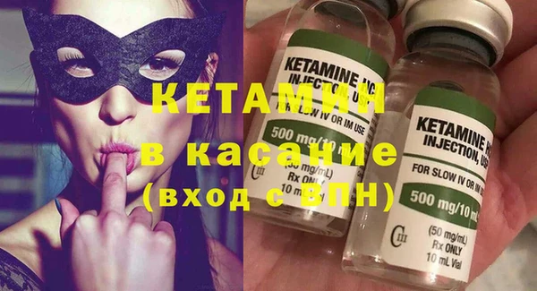 шишки Верея